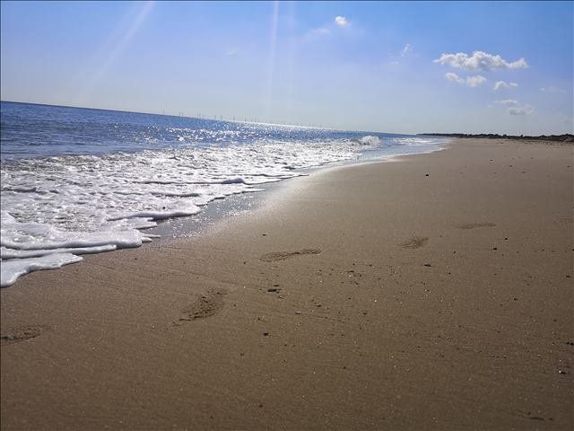 Coast beach Norfolk Winterton self catering holidays dogs dog friendly sea