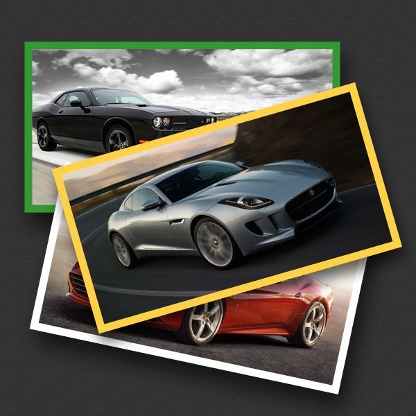 Click to visit the photo galleries Image link to galleries
