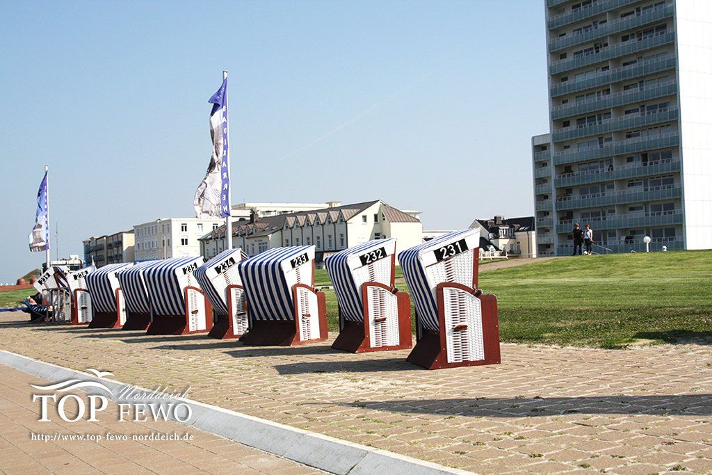 Norddeich - Ferienwohnungen mit Strandkorb - Sommerurlaub 2023