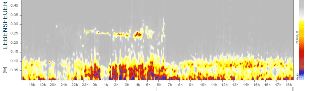 Lebensfeuer, Gesundheit, Prävention, Flow,Anti-Stressmaßnahmen im Alltag