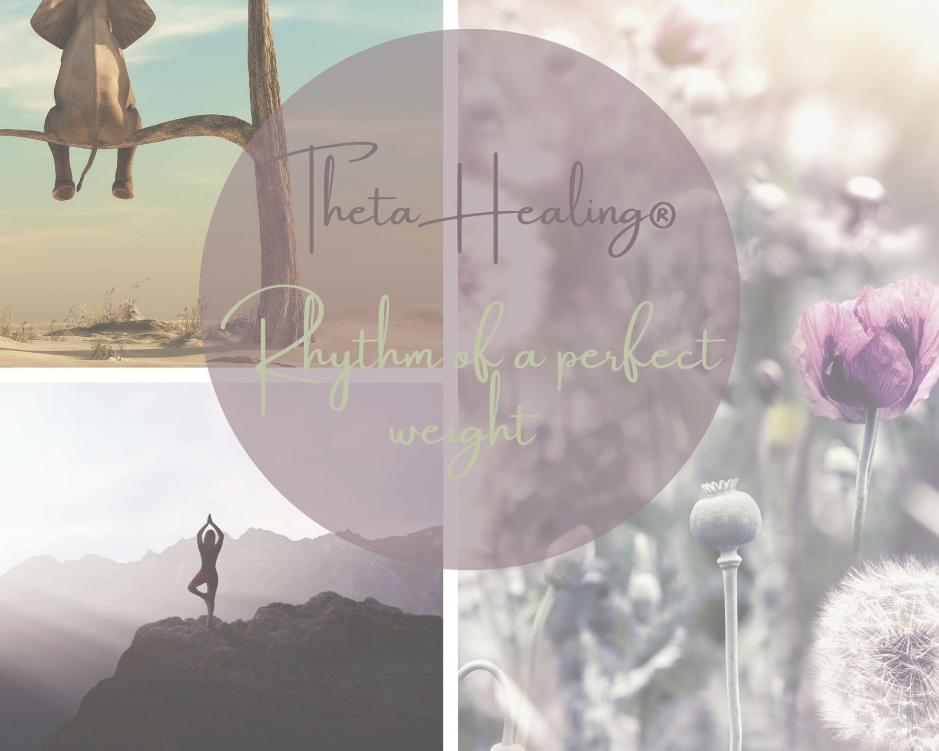 ThetaHealing Seminar und Ausbildung Rhythm of a perfect weight Naturheilpraxis Sandra Gallagher