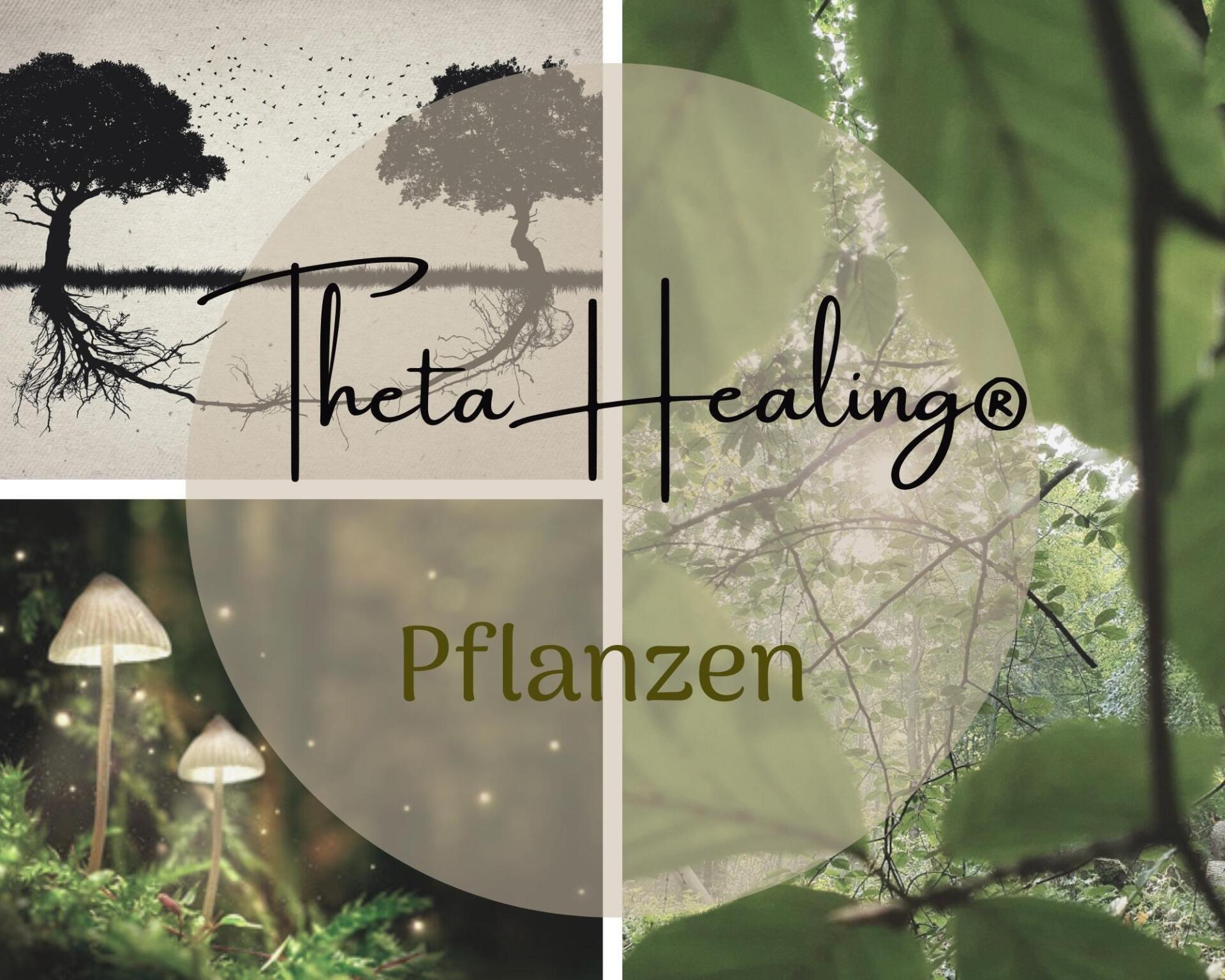 ThetaHealing Seminar und Ausbildung Pflanzen, Pflanzenseminar, Naturheilpraxis Sandra Gallagher