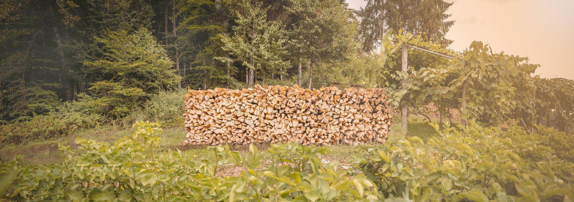 Vulkanland Hulz Brennholz Vulkanland Hulz Brennholz aufgestapelt vor einem Wald im wunderschönen Steirisches Vulkanland