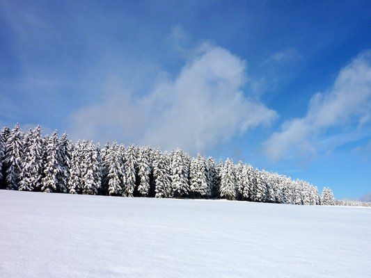 blick auf den steinigen huegel in lauscha im winter