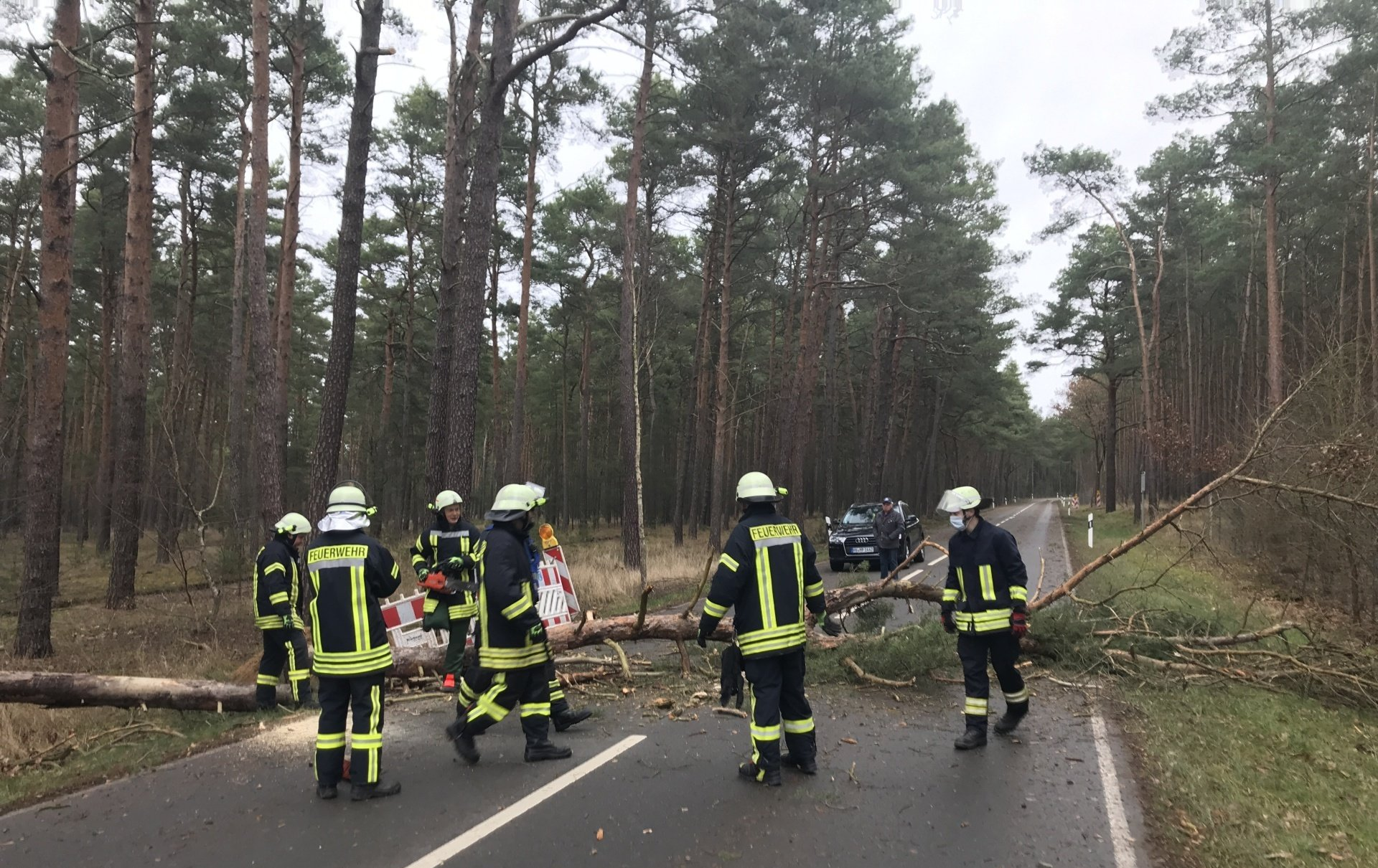 Die elf ausgerückten Aktiven der Feuerwehr Klietz beseitigten diesen Baum auf der Landstraße in Richtung Mahlitz.