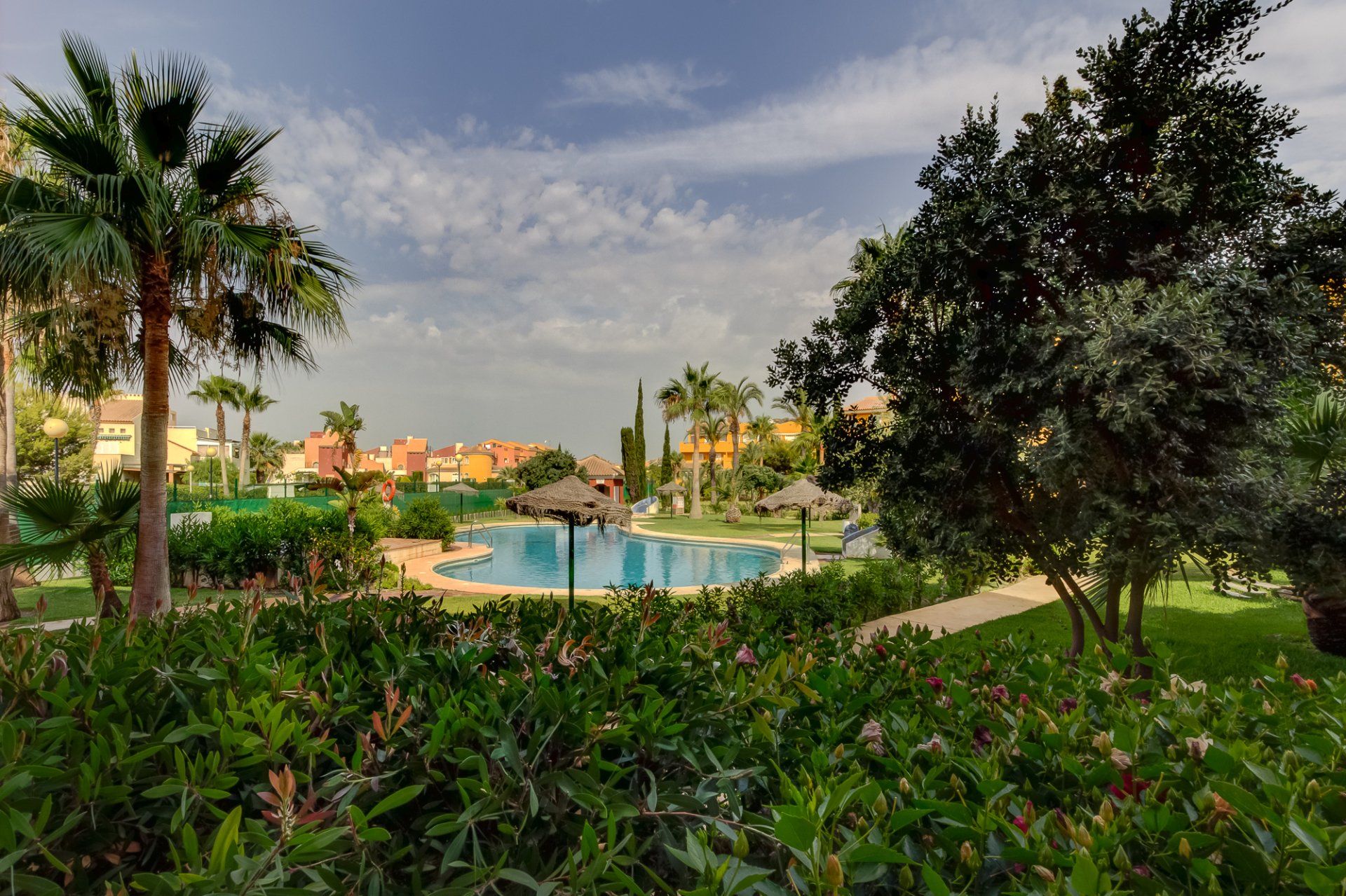 looking over foliage onto the swimming pool beyond