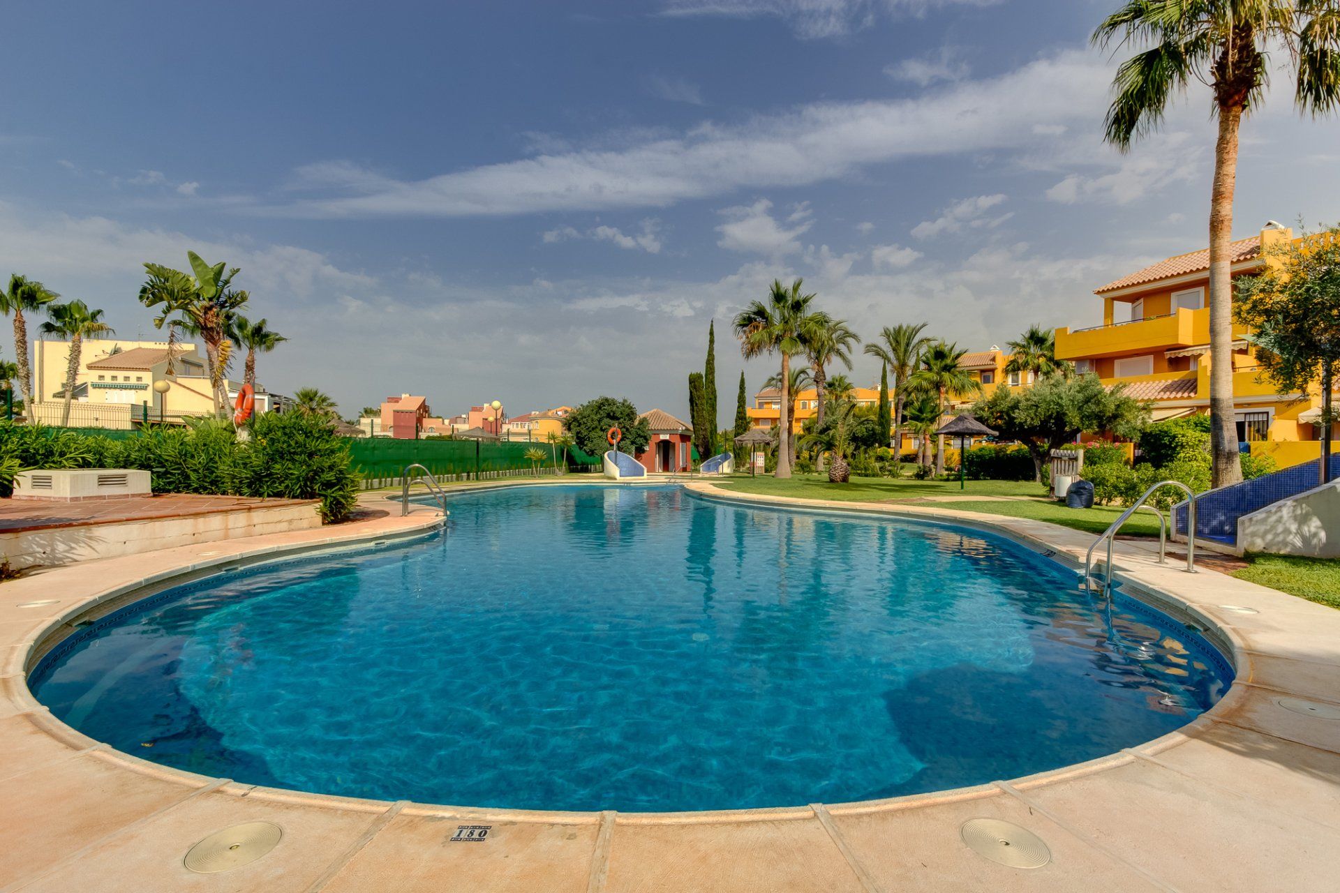 looking across the sparkling blue water of the pool with tall palm trees in the distance