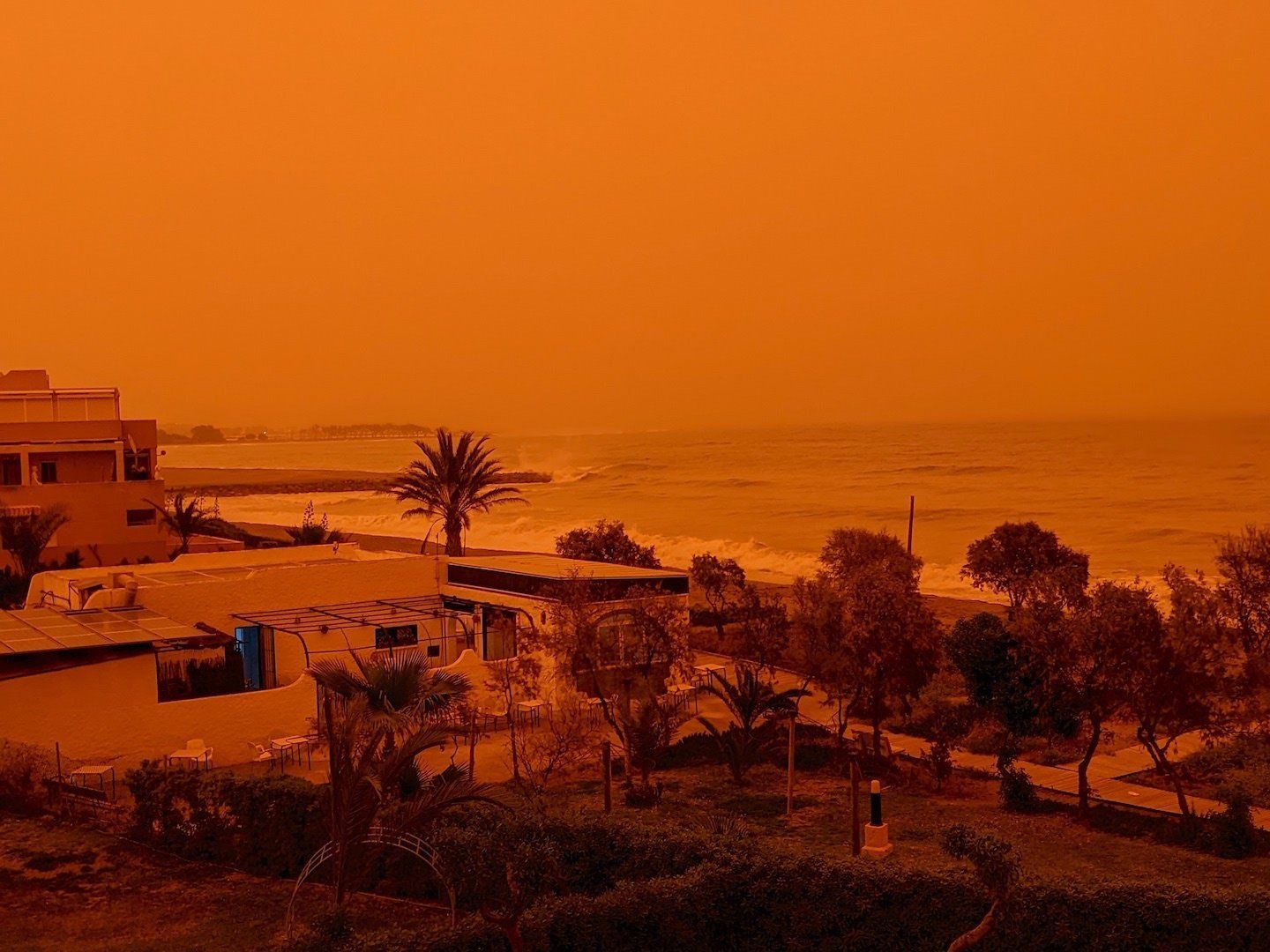 Beach café surrounded by trees and big waves and an orange sky