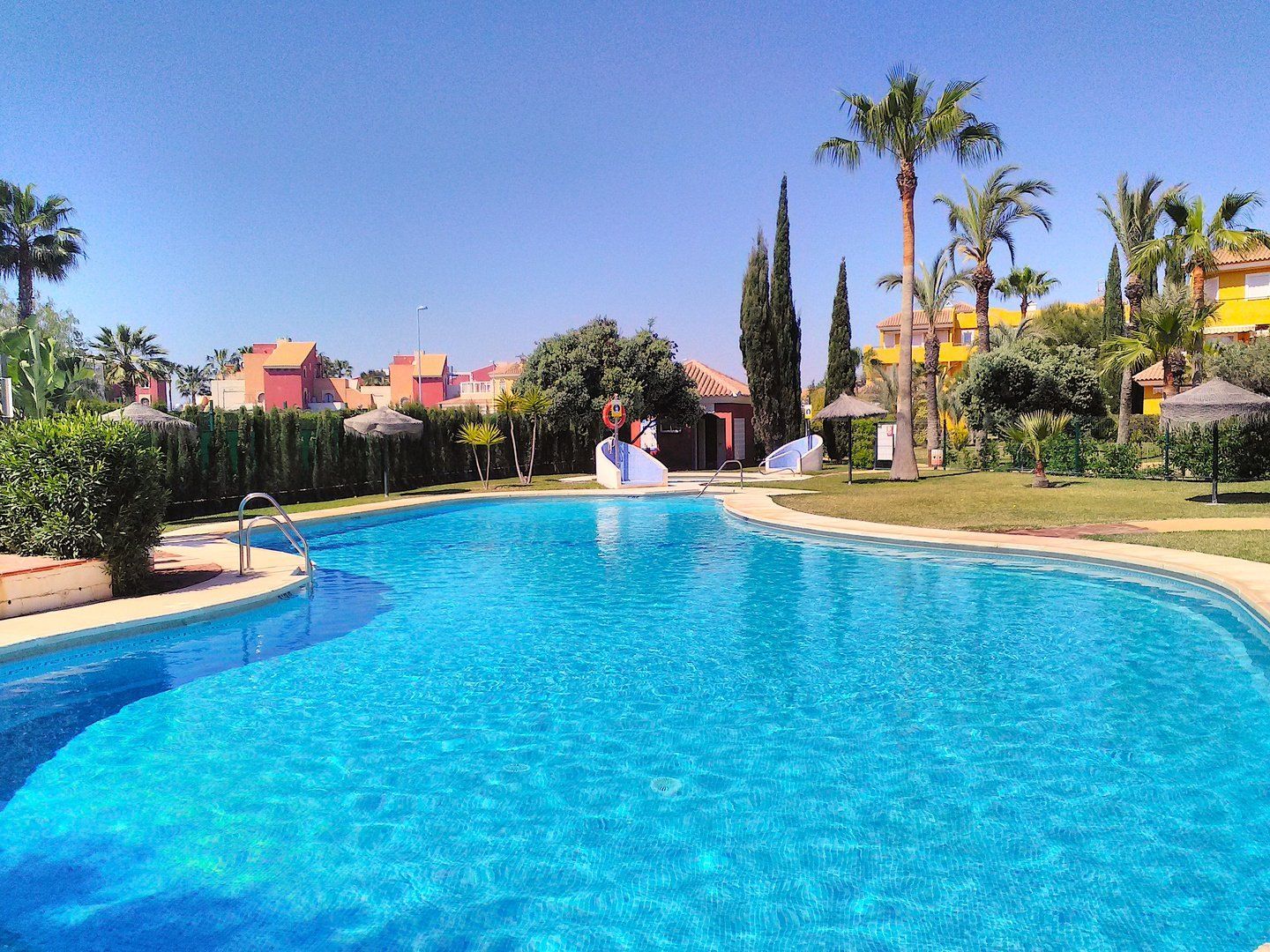 looking across the sparkling water of the pool with palm tress in the background