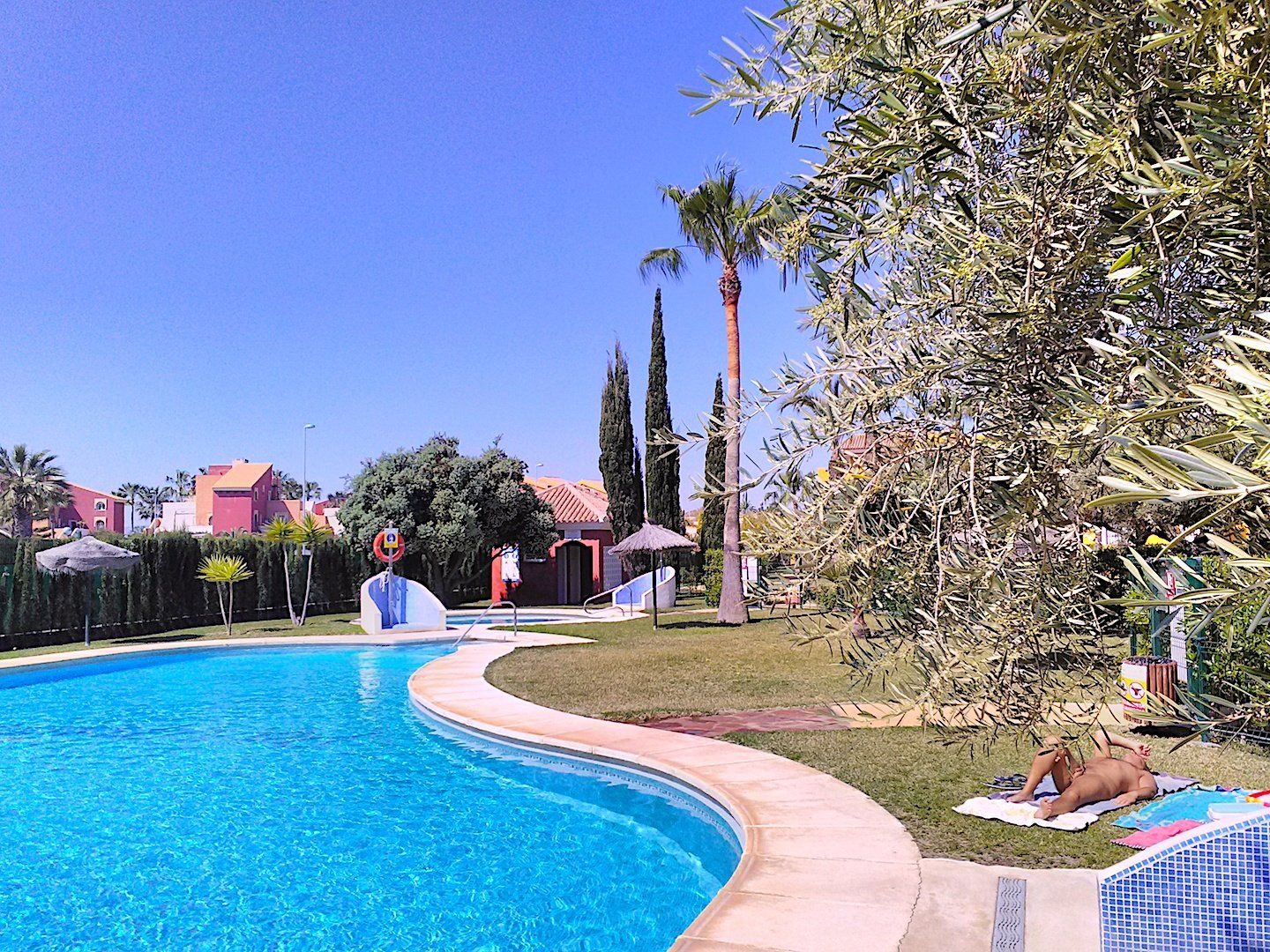 looking across the sparkling blue water of the pool with tall palm trees in the distance