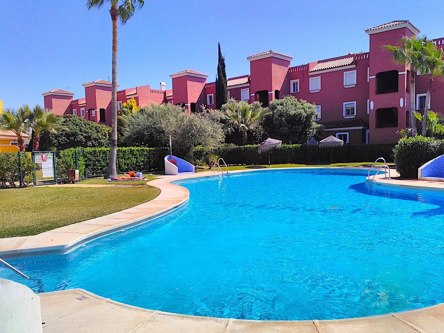 looking across the sparkling blue water of the pool with tall palm trees in the distance