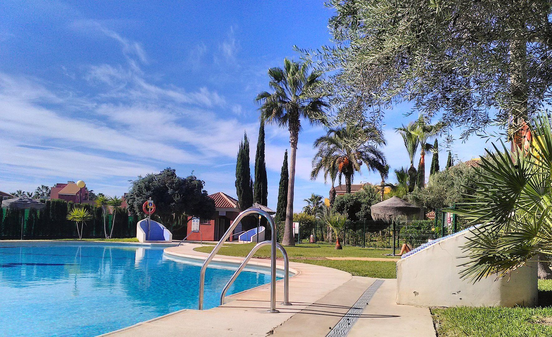 looking across the sparkling blue water of the pool with tall palm trees in the distance