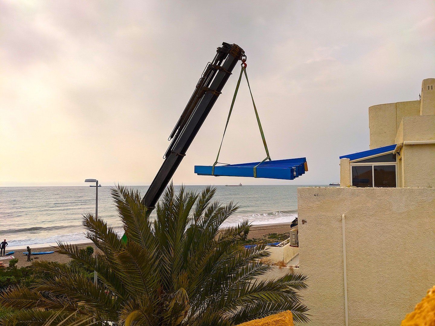 looking over the top of a palm tree with the arm of a crane below dangling a clutch of cargo with the sea in the background