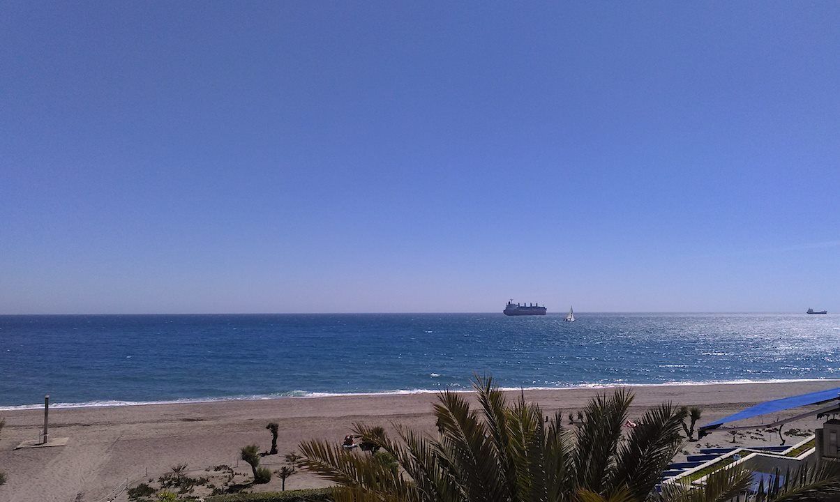 looking out to sea over the top of a palm leaf there is a ship on the horizon