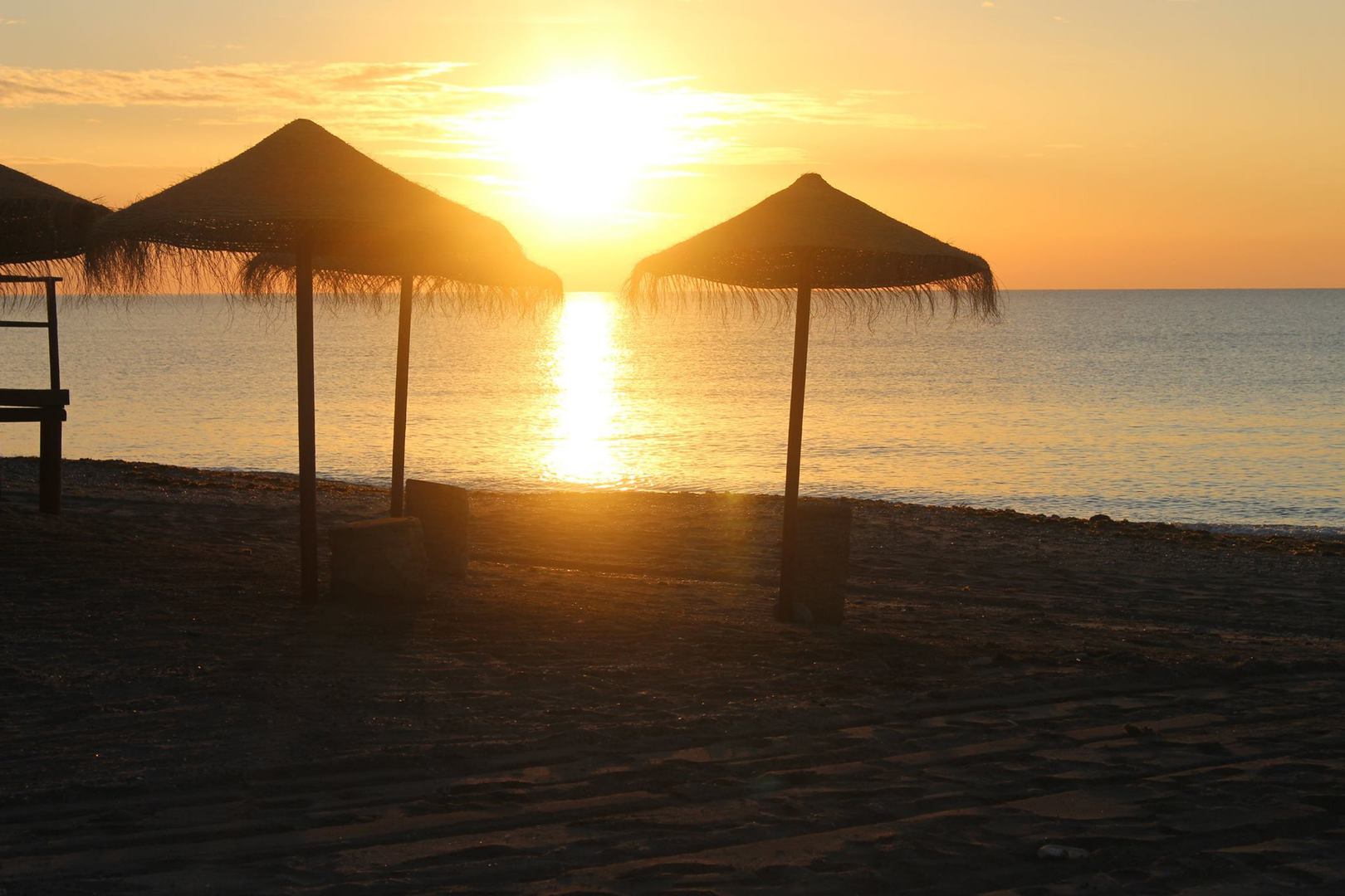 a group of thatched sun parasols at dawn with the orange sun rising in the sky and reflecting on the sea behind