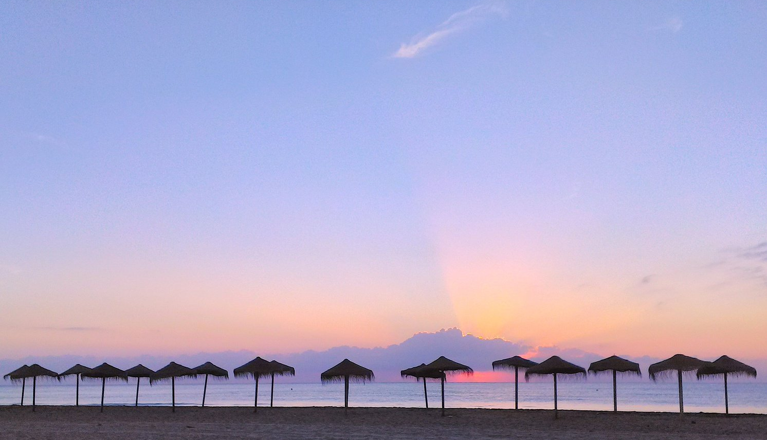 Una sola fila de sombrillas de paja en la costa al amanecer con un amanecer rosado tratando de brillar a través de las nubes rosadas