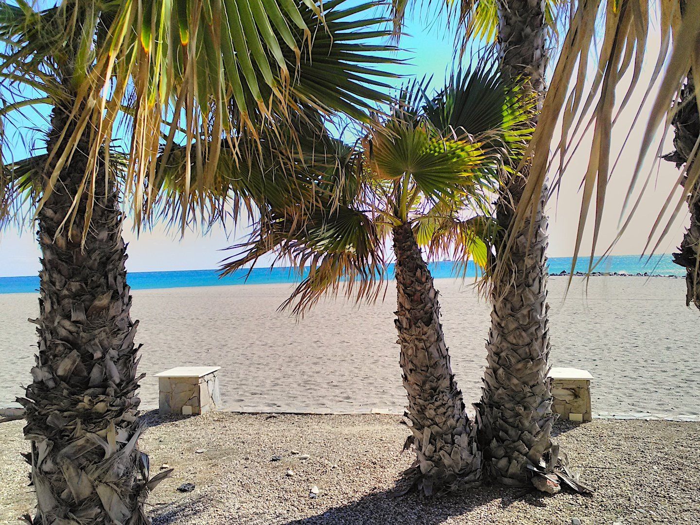 looking through the trunks and leaves of some palm trees onto lovely golden white sand and blue sea beyond