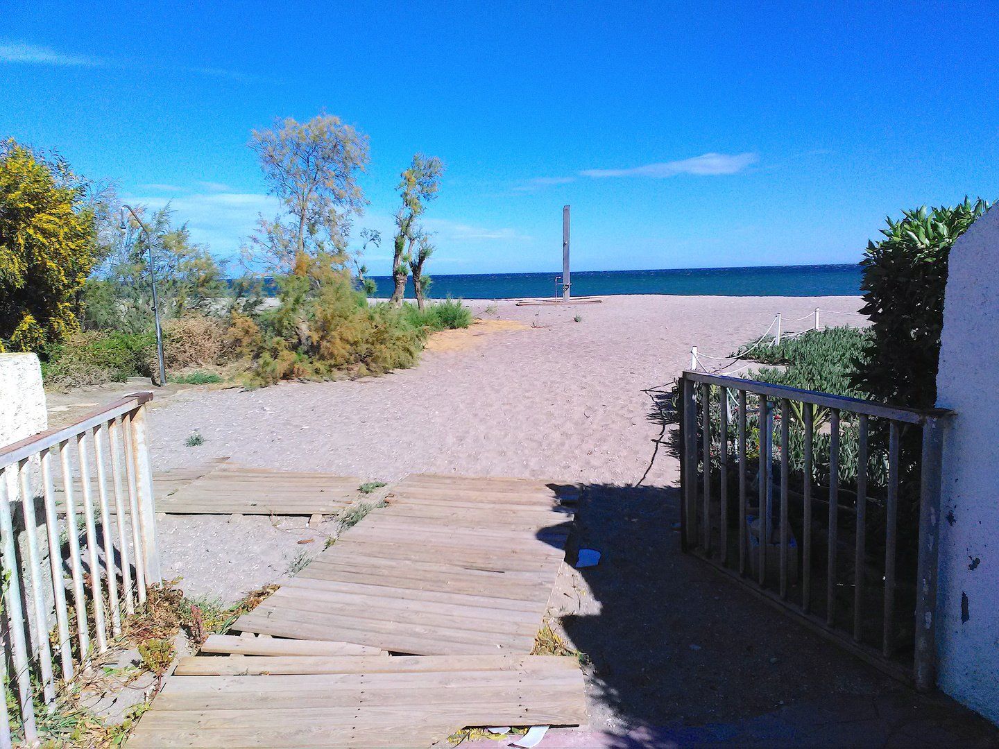 at ground level the path ends and the sandy beach starts with a few small trees and grasses on the sand