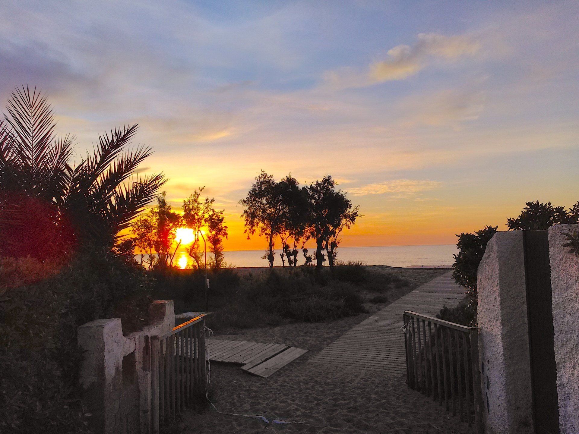 the entrance to the beach at sunrise with the sun rising out of the sea behind small trees on the beach
