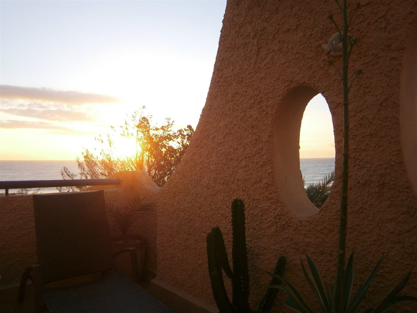 the sun is rising on the horizon and in the shadow on the terrace are two big cactus plants in pots