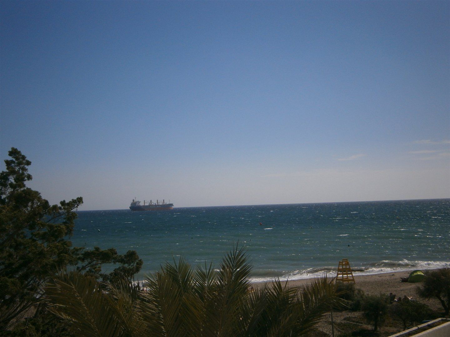 looking through the tops of the palm trees someone has a tent on the beach and a big tanker is out at sea