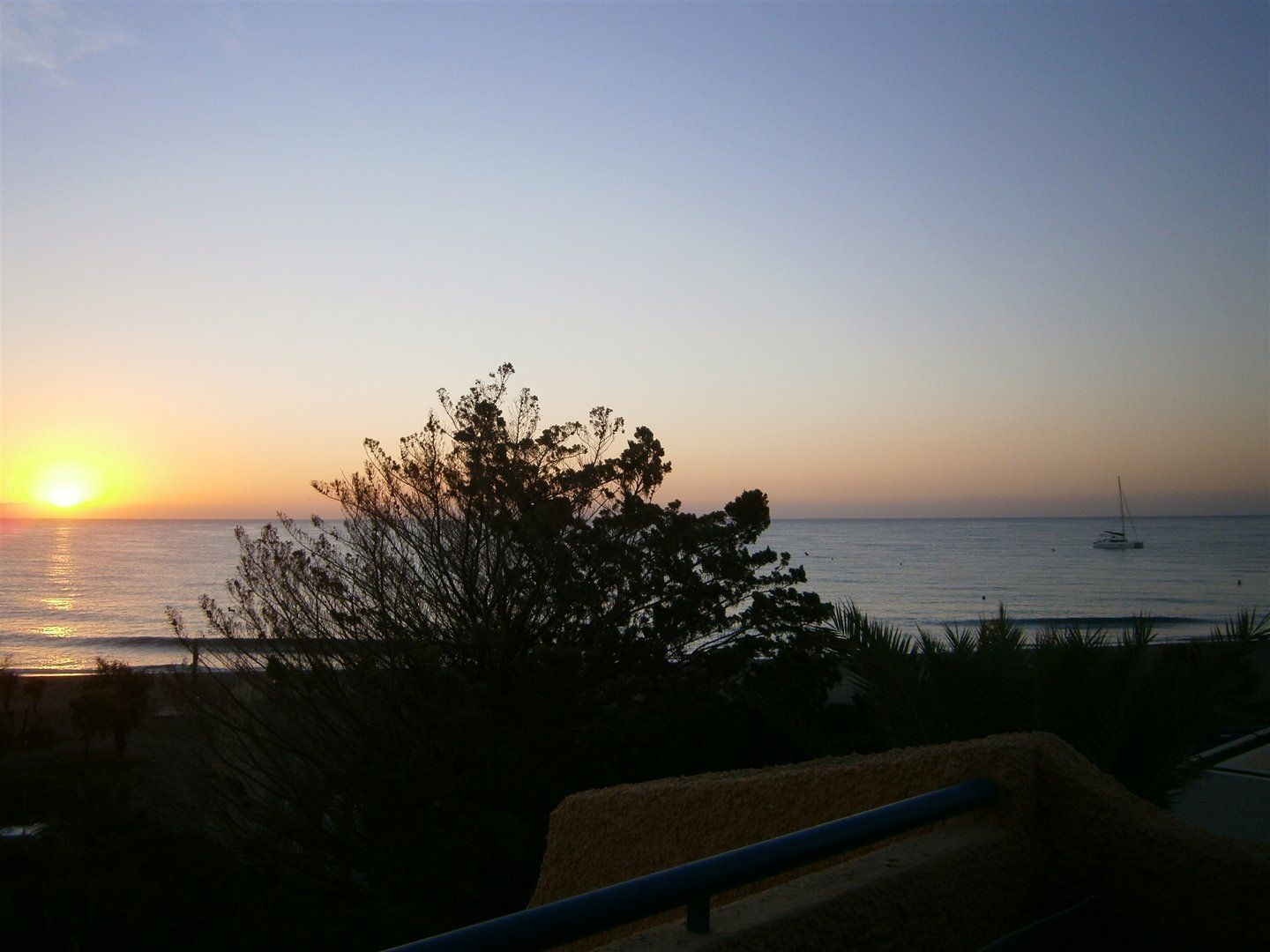 at dawn a bushy pine tree is in the centre and to the left is the sun rising and to the right a sailing boat on the water