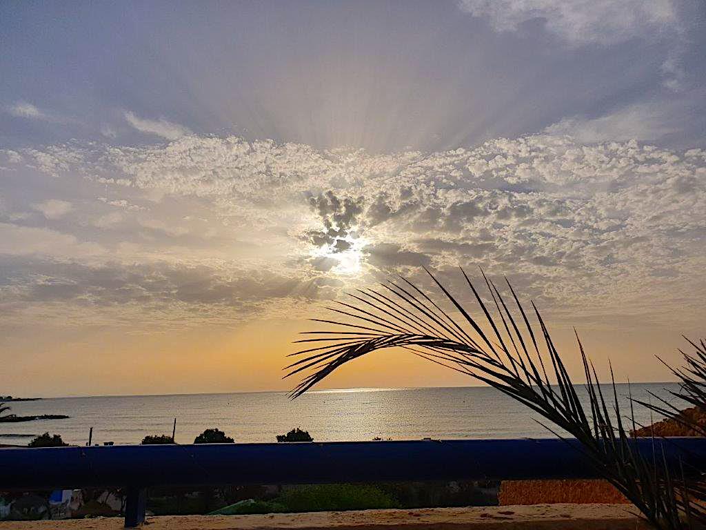 dawn view from the terrace looking across shiny calm sea with orange clouds in sky and single palm leaf in foreground