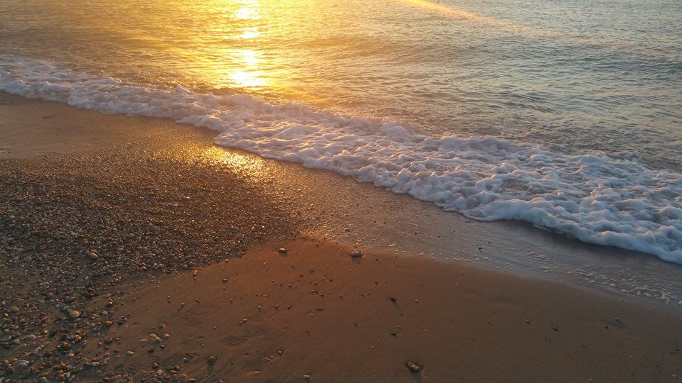 waves gently lap on the shoreline at sunrise