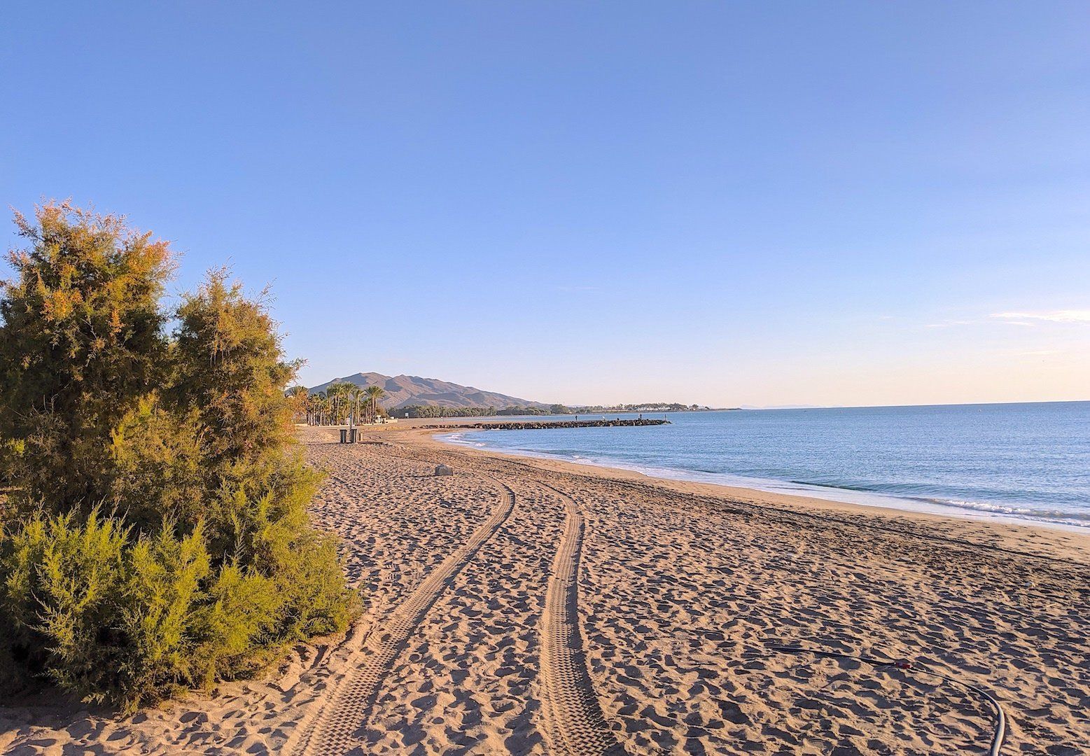 a bush growing out of the sand on the left and the sand in the foreground with tyre tracks and the sea to the right with the mountains in the distance