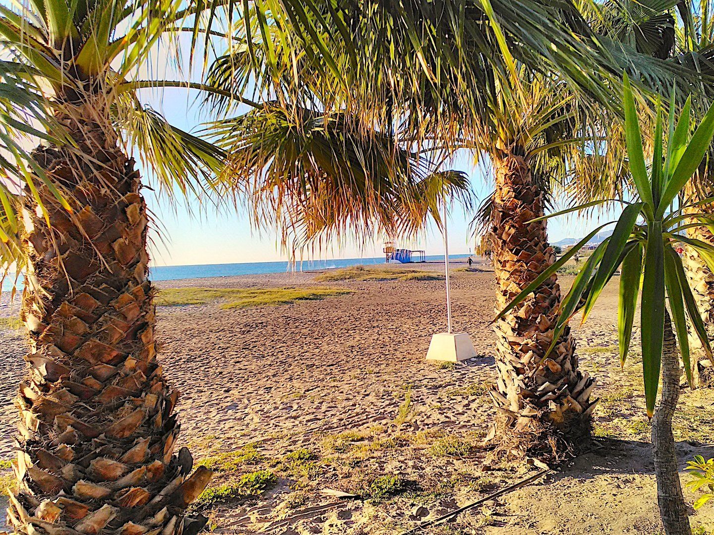 looking through palm leaves to sandy beach with lifeguard tower in the distance