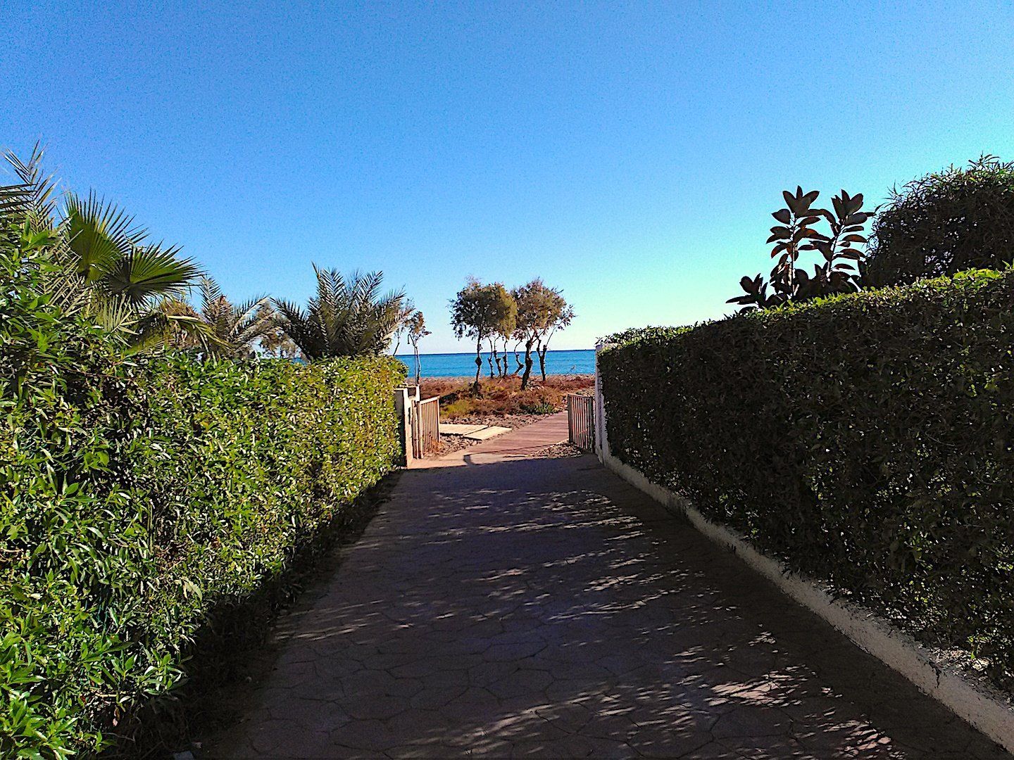 at ground level a pathway with hedges either side leads onto the beach with some small trees in the distance