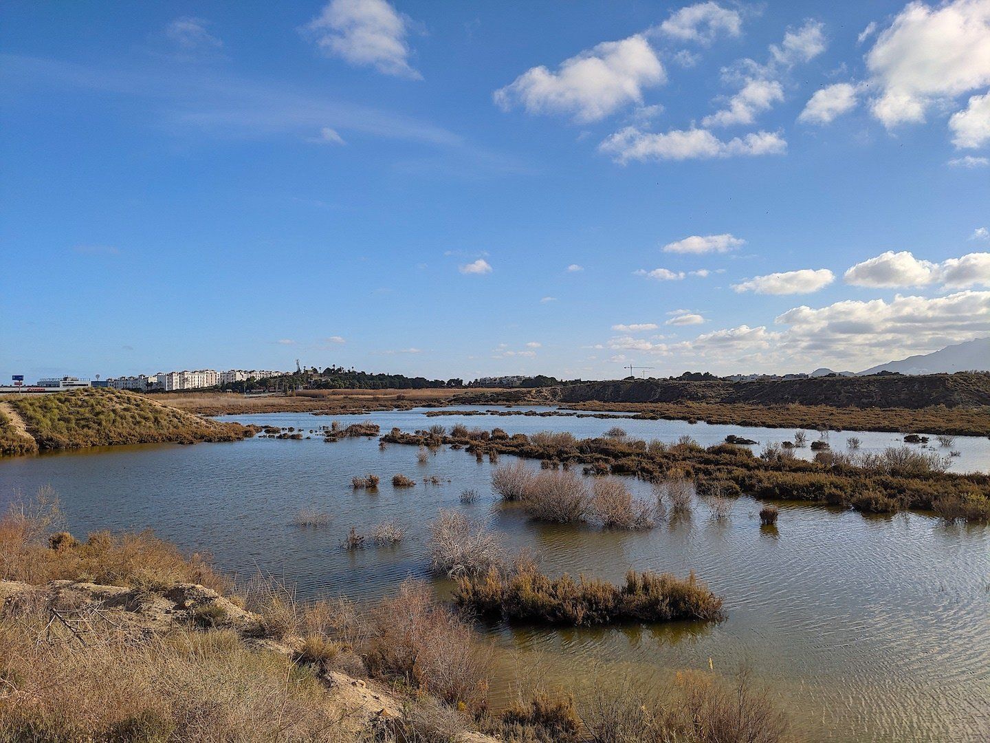 salt water marshes full of water and wildlife