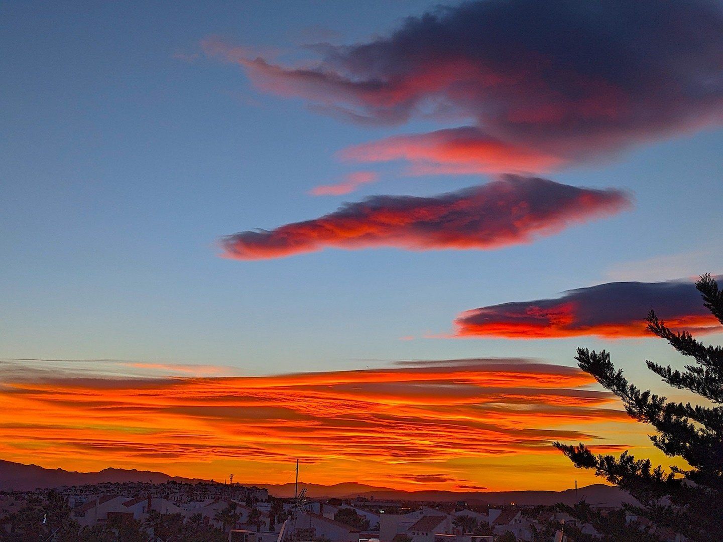 fiery pink orbs in the sky at dusk