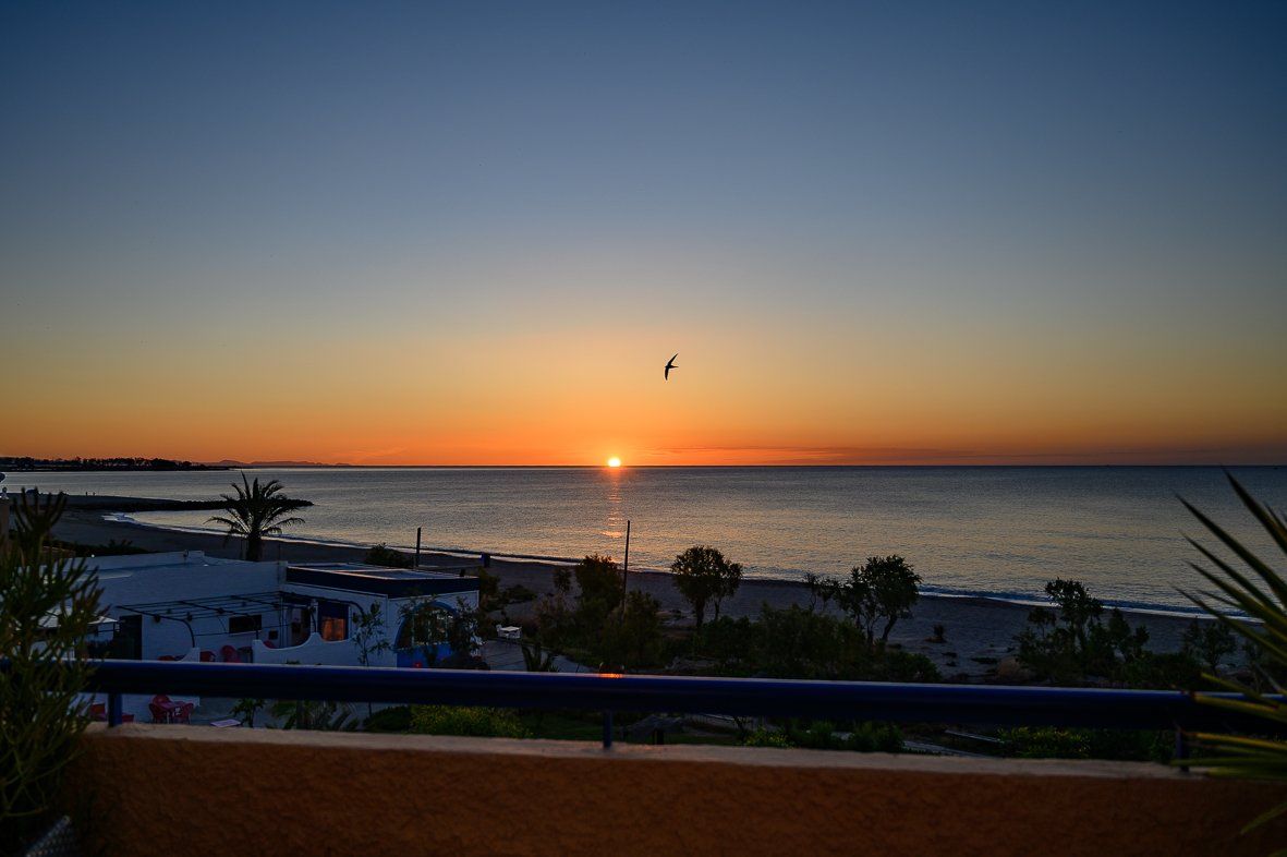 sun rise from the terrace looking at the orange sky and a bird flying by