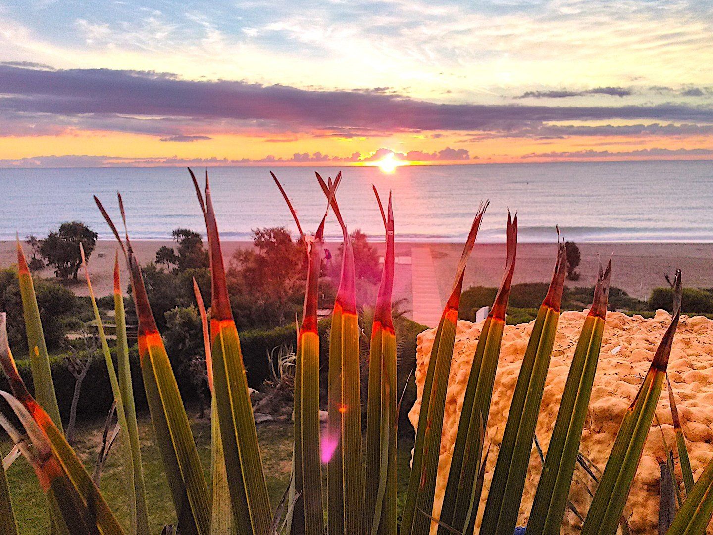 looking through a big palm leaf onto the beach below where the sun is rising out the water on the horizon