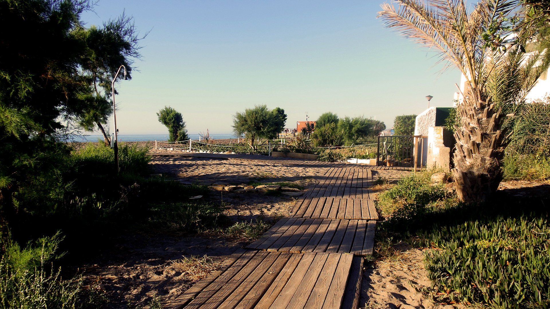 a crickety looking wooden board walk with plants either side leading to the beach in the distance