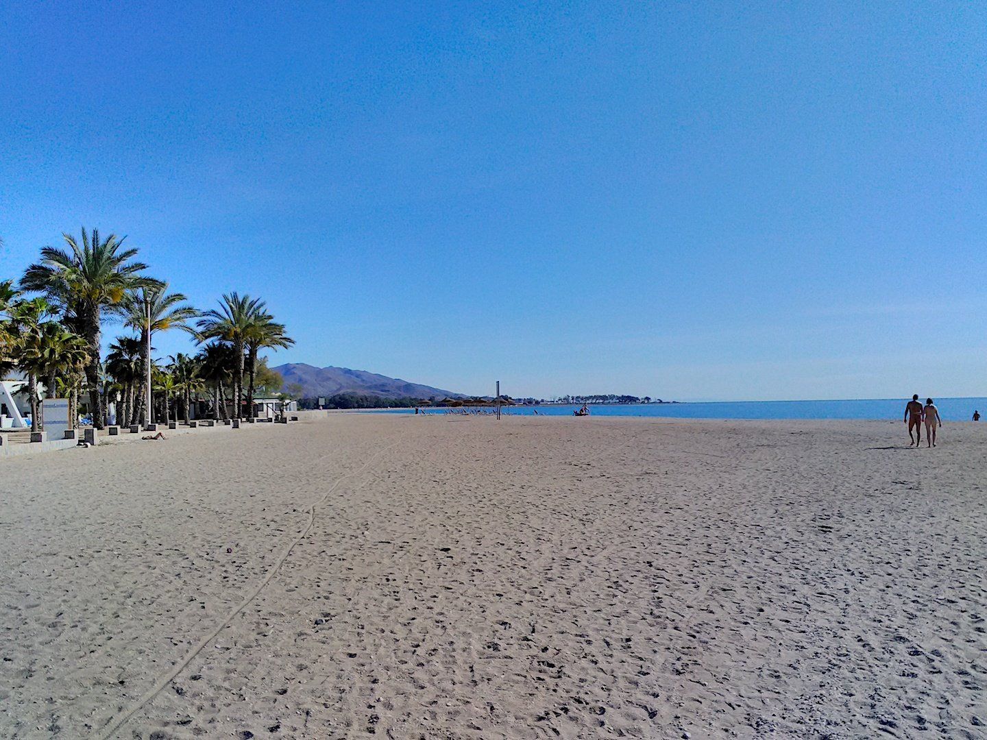 wide sandy naturist beach with palm trees to the left and a naked couple walking hand in hand to the right