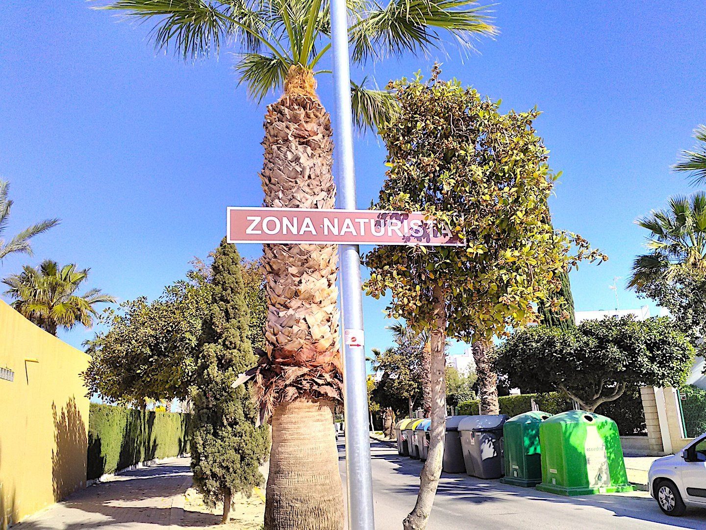 a street scene from the pavement looking up to palm trees and a post with a sign on it saying zona naturista