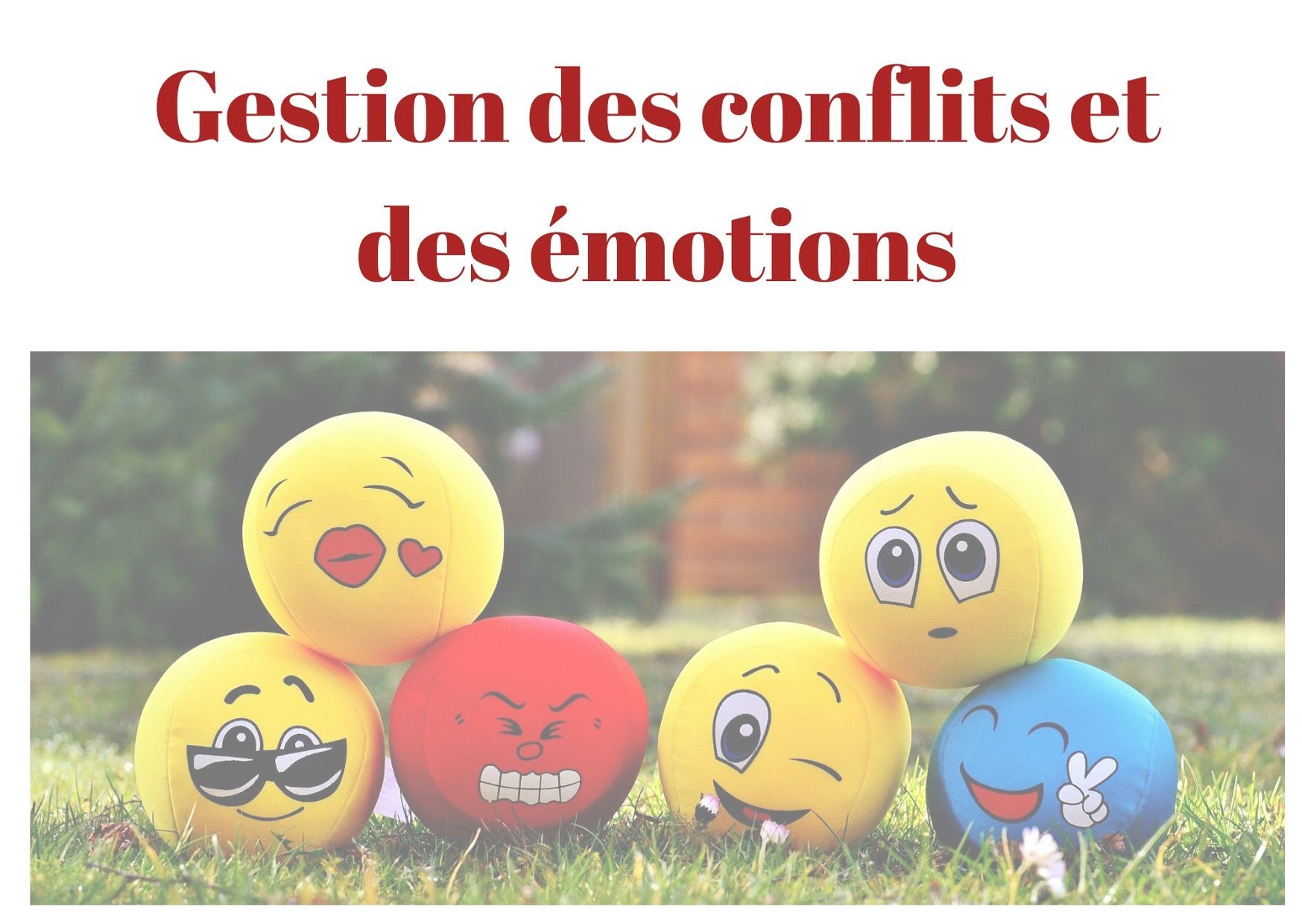 gerer ces emotions atelier gestion des conflits et emotions