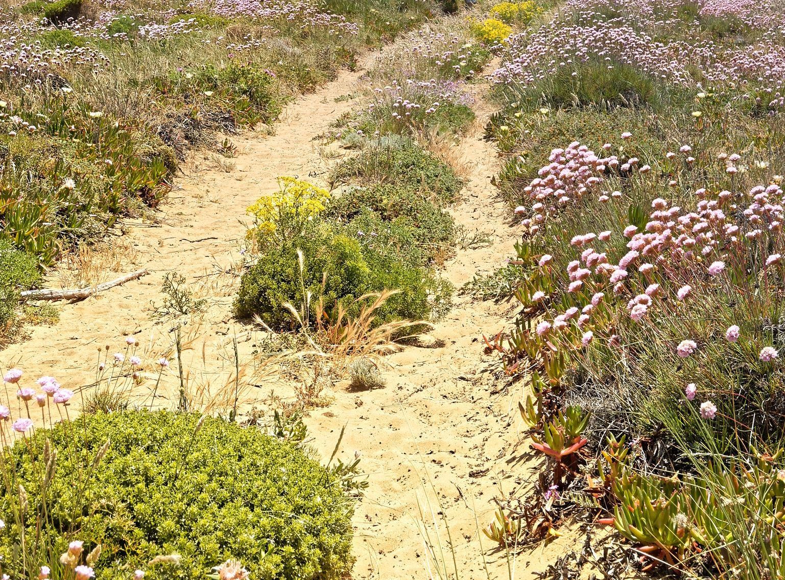 Ein Weg