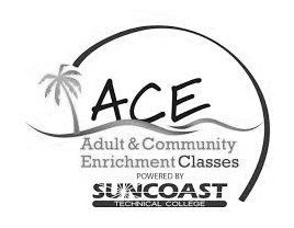 Visit website A.C.E. logo