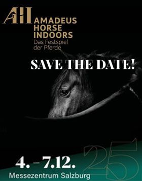 Amadeus Horse Indoors