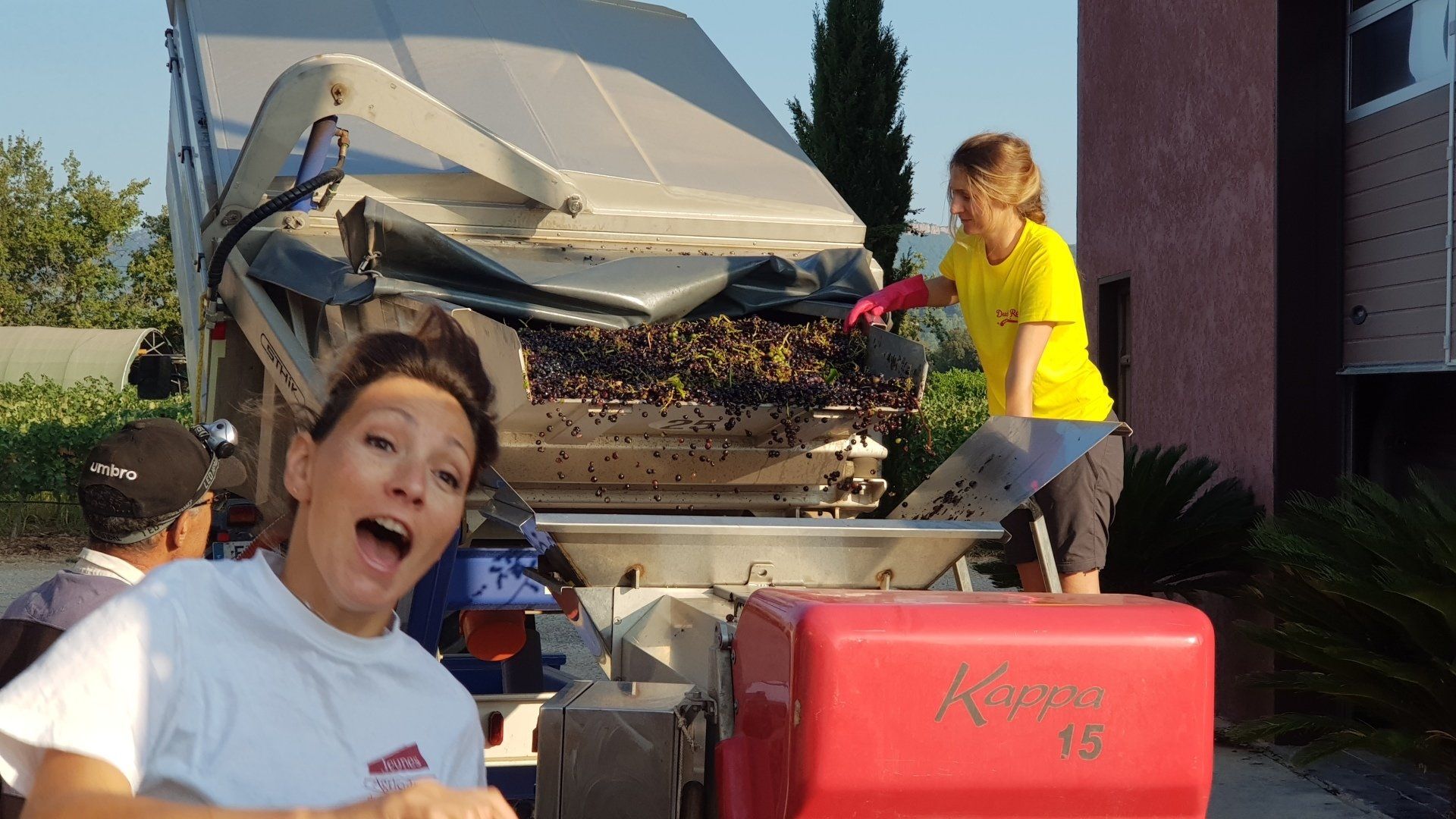 Assemblages Décembre 2021