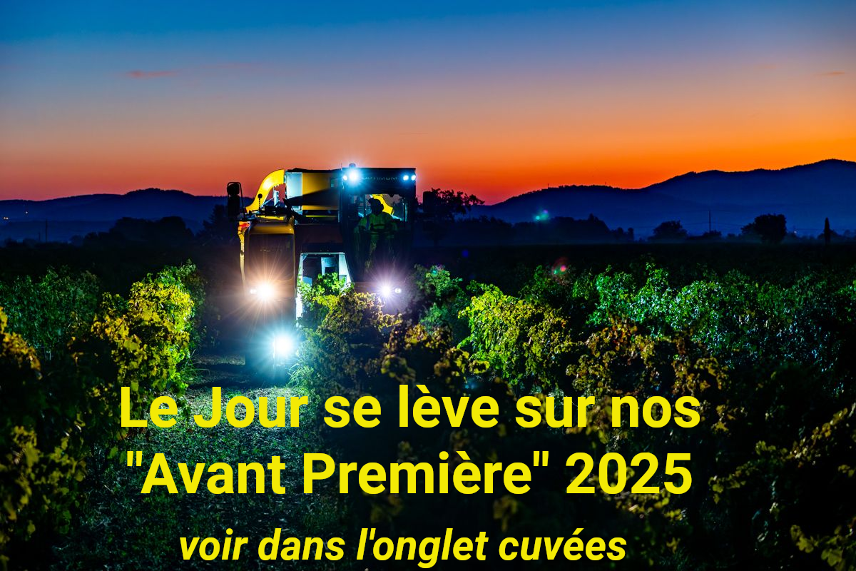 Vendage nocturne pour une meilleure qualité