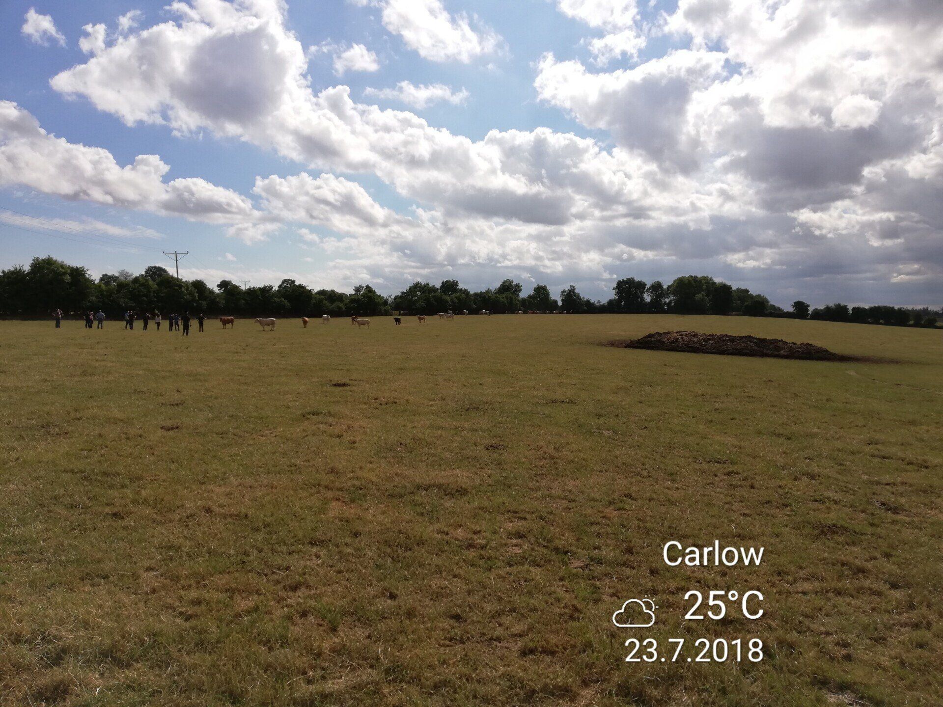 Unendliche Weideflächen Rinderhaltung in Irland