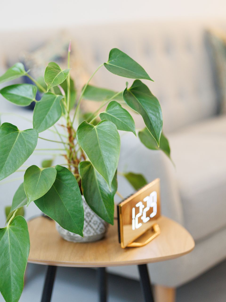 Psychotherapie zur Krankenbehandlung oder als Gesundheitsvorsorge