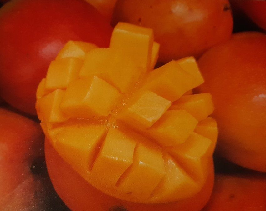 Mangue , joue de mangue, découper une mangue, présenter une mangue