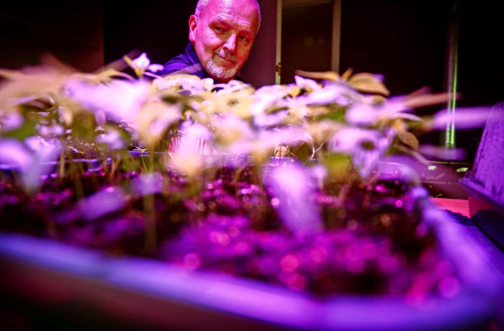 Foto: Gottfried Stoppel/Gottfried Stoppel Foto: Gottfried Stoppel/Gottfried Stoppel