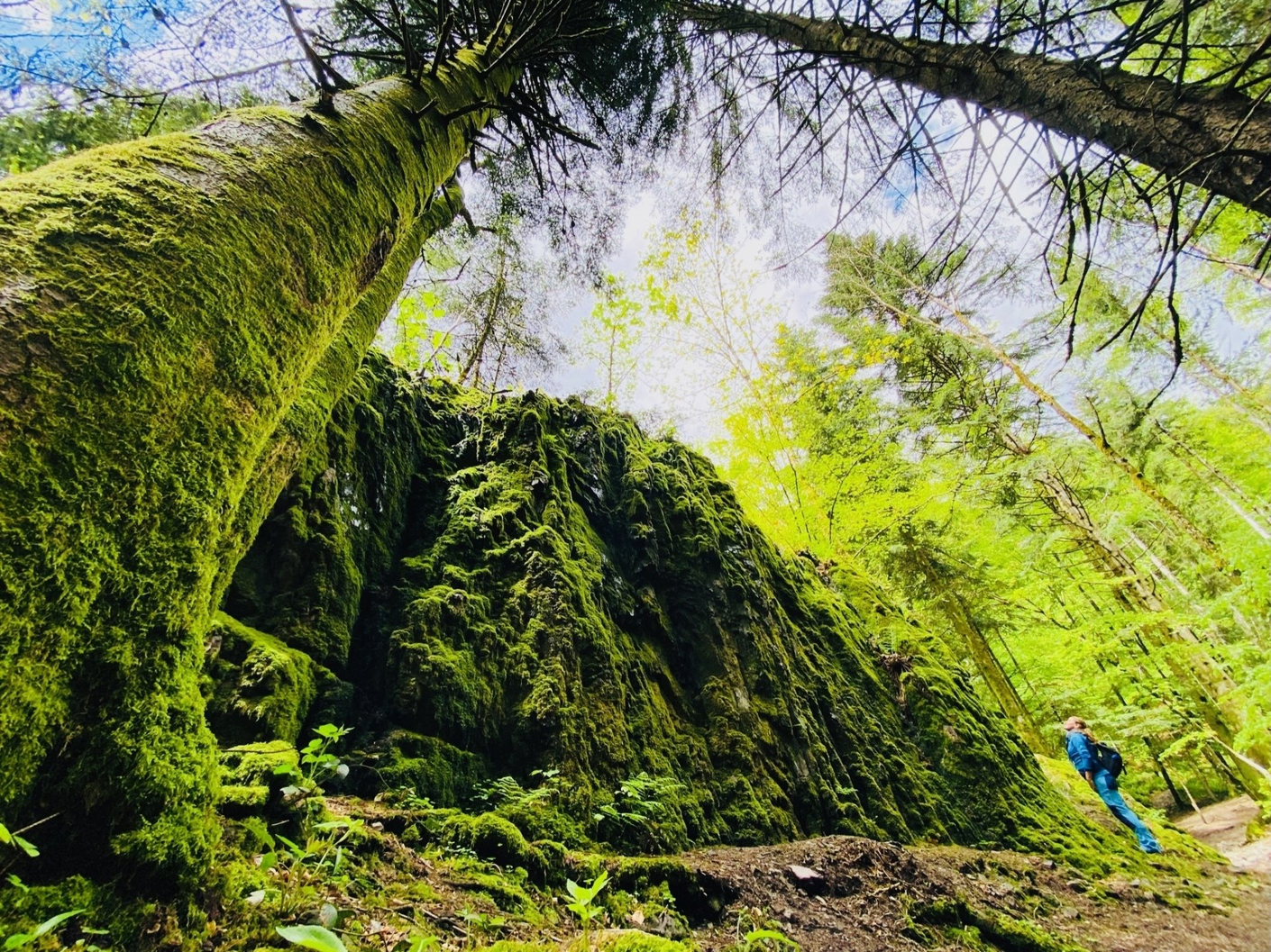 Kraftorte und Bilder