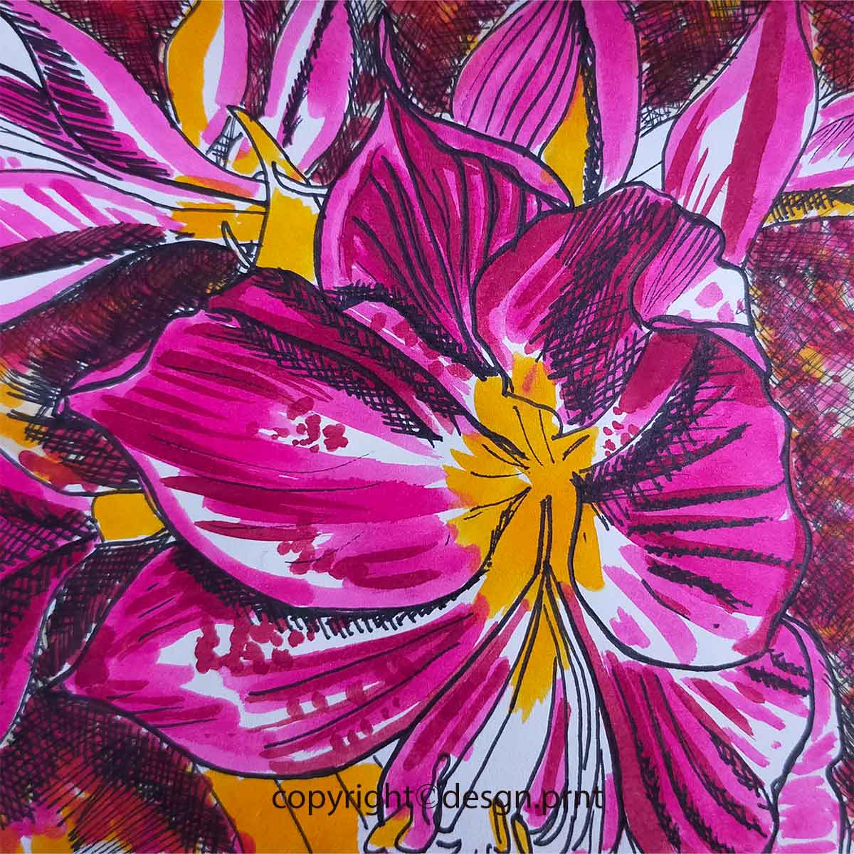 Illustration of Amaryillis